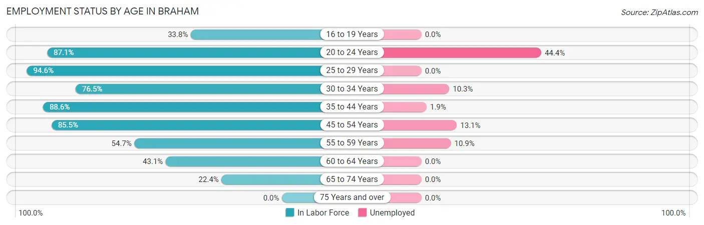 Employment Status by Age in Braham