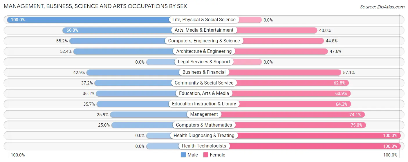 Management, Business, Science and Arts Occupations by Sex in Braham