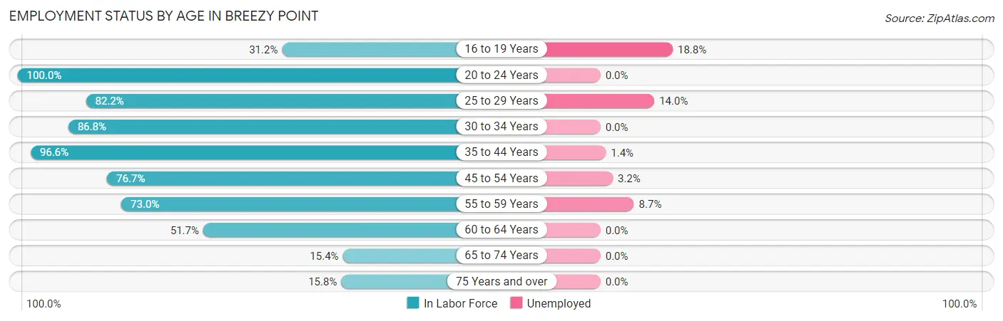 Employment Status by Age in Breezy Point