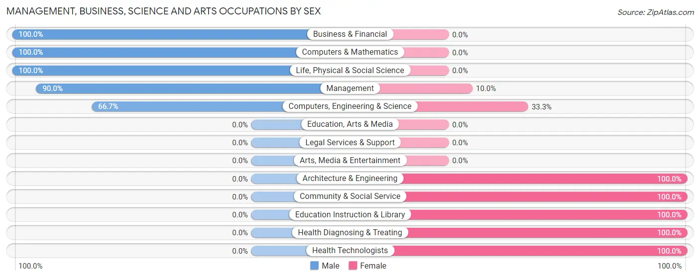 Management, Business, Science and Arts Occupations by Sex in Brewster