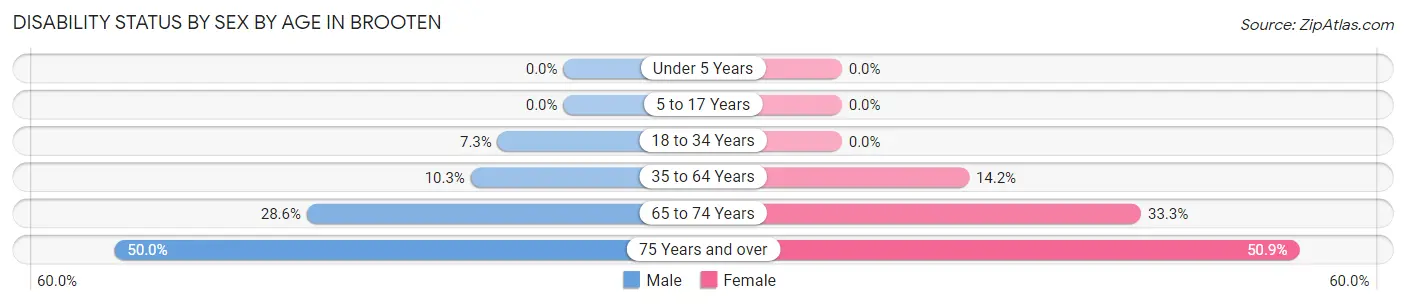 Disability Status by Sex by Age in Brooten