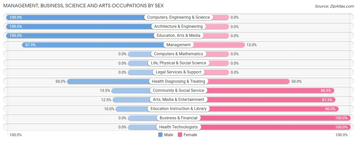 Management, Business, Science and Arts Occupations by Sex in Brooten