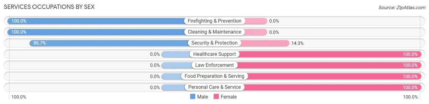 Services Occupations by Sex in Brooten