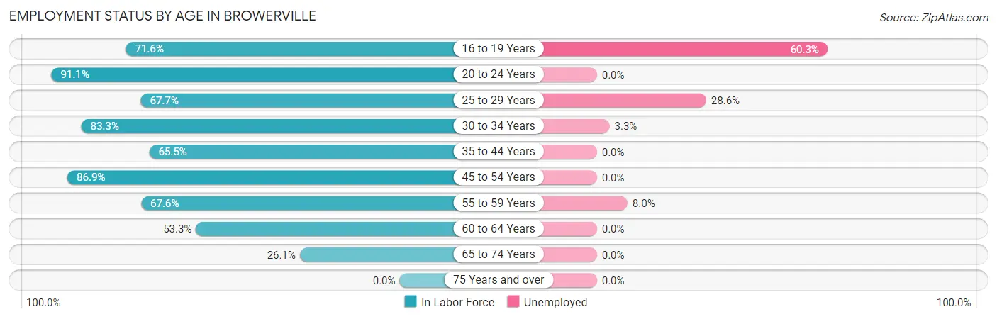 Employment Status by Age in Browerville