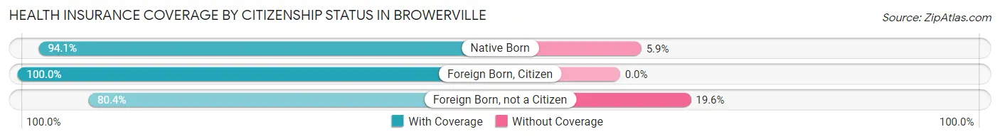 Health Insurance Coverage by Citizenship Status in Browerville