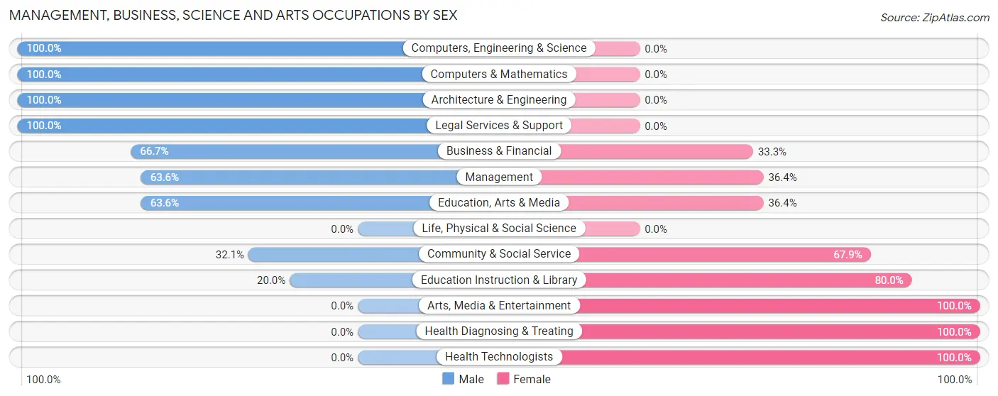 Management, Business, Science and Arts Occupations by Sex in Browerville
