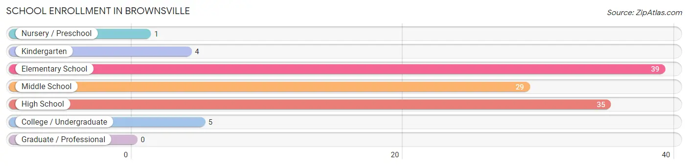 School Enrollment in Brownsville