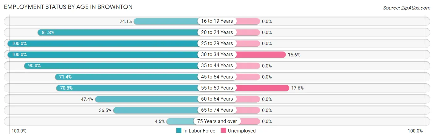 Employment Status by Age in Brownton