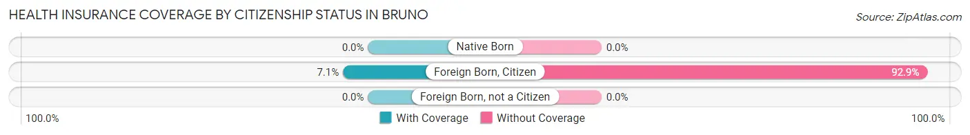 Health Insurance Coverage by Citizenship Status in Bruno