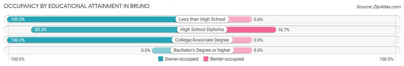 Occupancy by Educational Attainment in Bruno