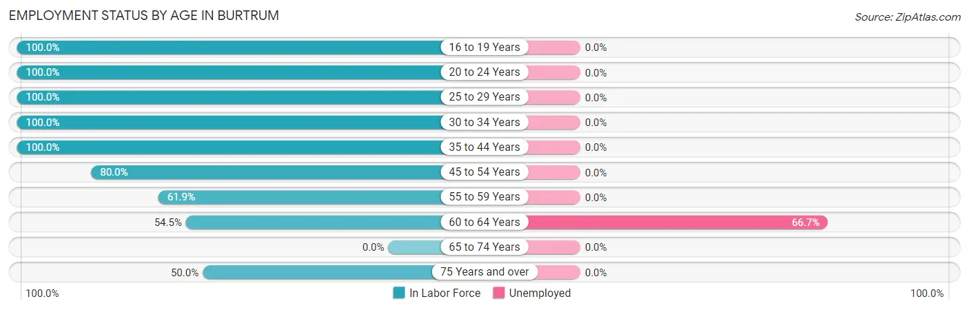 Employment Status by Age in Burtrum