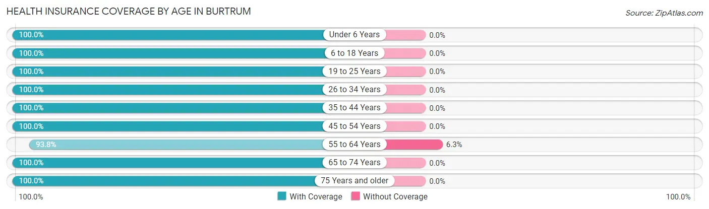 Health Insurance Coverage by Age in Burtrum
