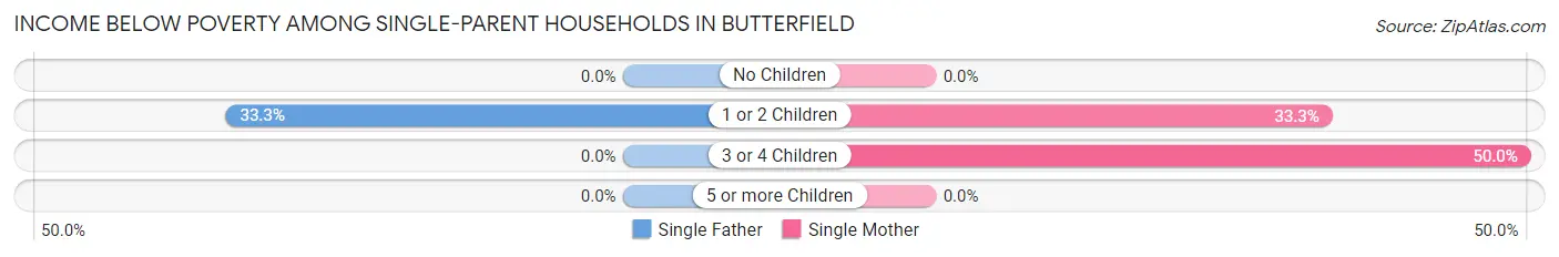 Income Below Poverty Among Single-Parent Households in Butterfield
