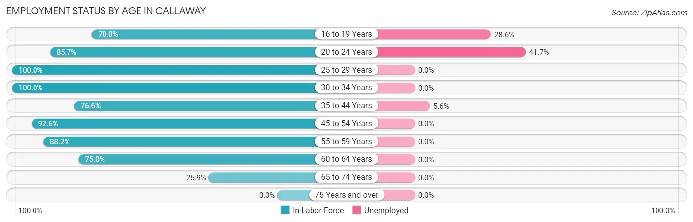Employment Status by Age in Callaway