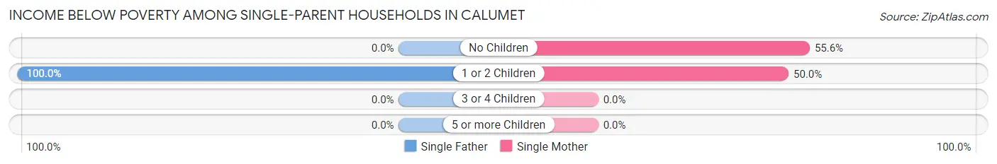 Income Below Poverty Among Single-Parent Households in Calumet