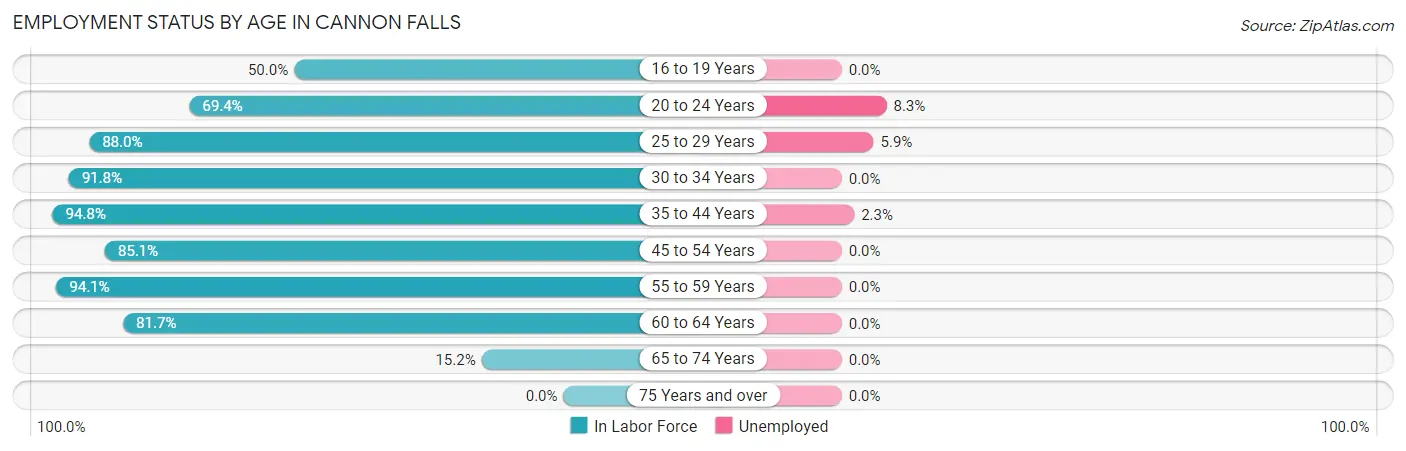 Employment Status by Age in Cannon Falls