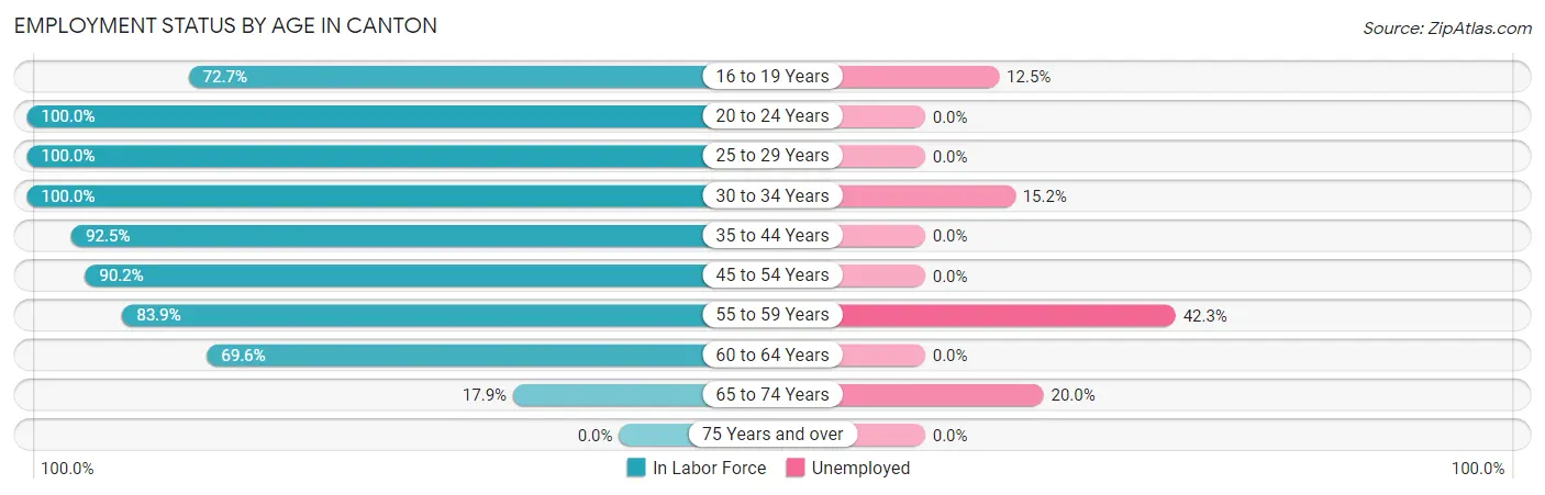 Employment Status by Age in Canton