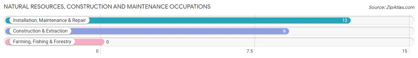 Natural Resources, Construction and Maintenance Occupations in Carlton