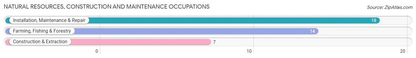 Natural Resources, Construction and Maintenance Occupations in Chandler