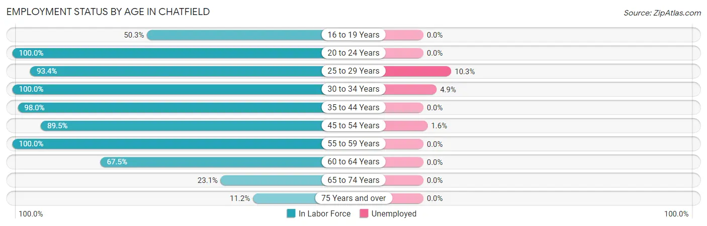 Employment Status by Age in Chatfield