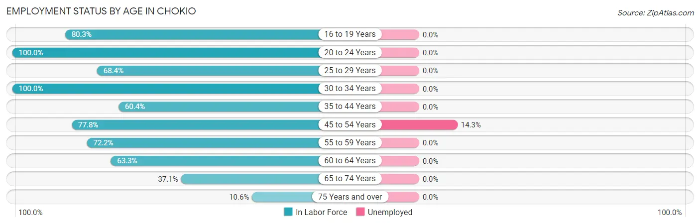 Employment Status by Age in Chokio
