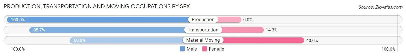 Production, Transportation and Moving Occupations by Sex in Chokio
