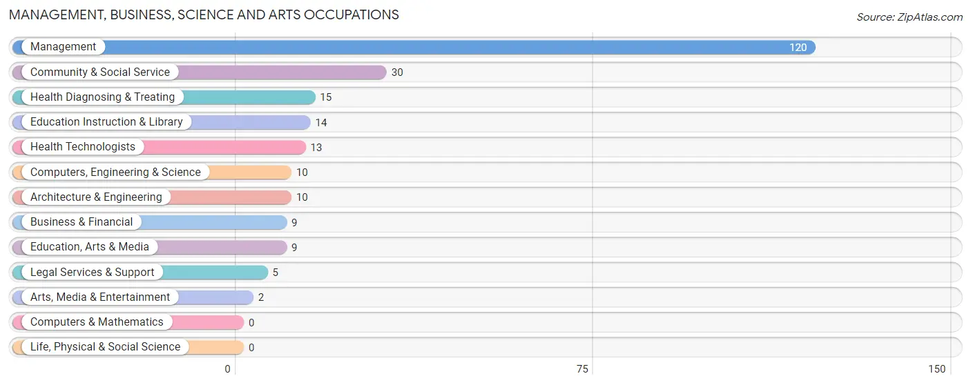 Management, Business, Science and Arts Occupations in Clara City