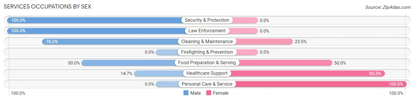 Services Occupations by Sex in Clara City