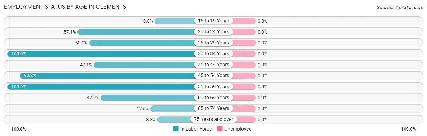 Employment Status by Age in Clements