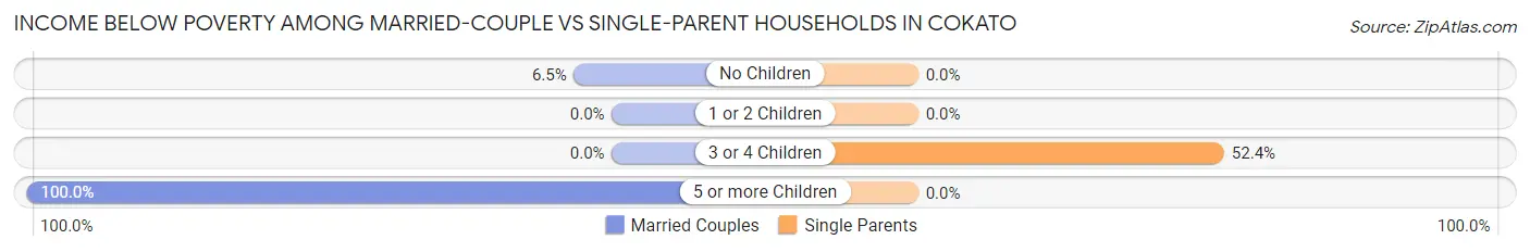 Income Below Poverty Among Married-Couple vs Single-Parent Households in Cokato