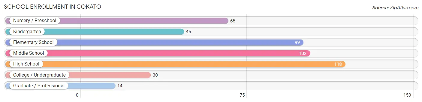 School Enrollment in Cokato