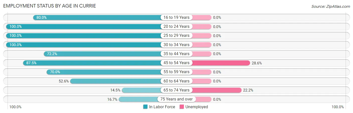 Employment Status by Age in Currie