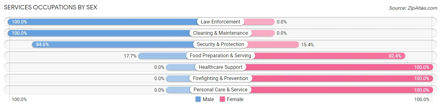 Services Occupations by Sex in Dassel