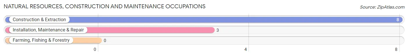 Natural Resources, Construction and Maintenance Occupations in Deer River