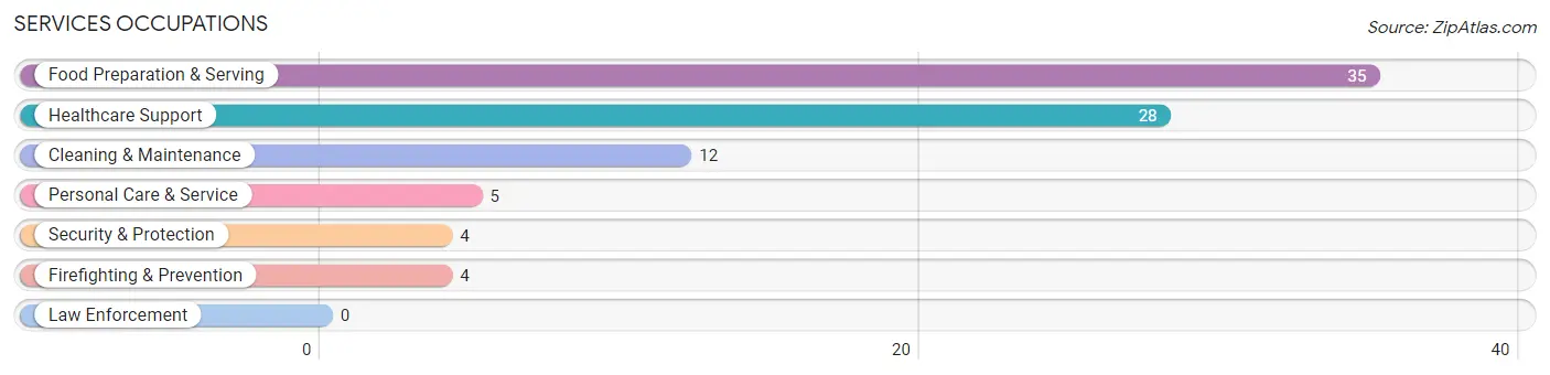 Services Occupations in Deer River