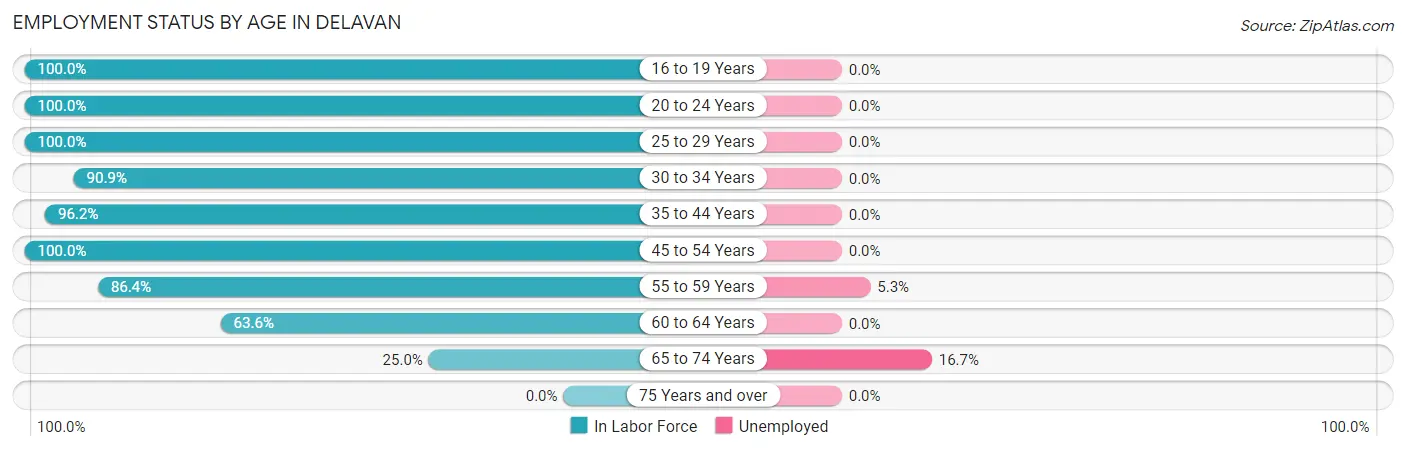 Employment Status by Age in Delavan