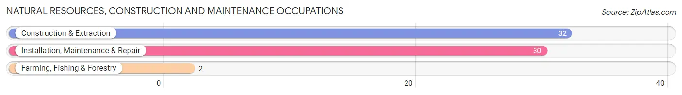 Natural Resources, Construction and Maintenance Occupations in Dover