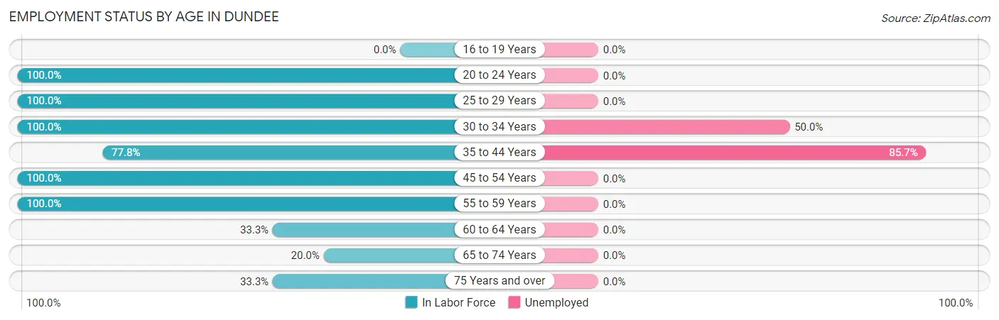 Employment Status by Age in Dundee