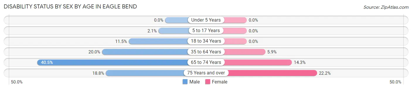 Disability Status by Sex by Age in Eagle Bend