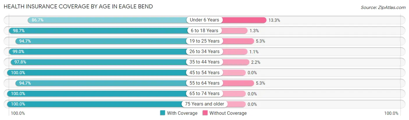 Health Insurance Coverage by Age in Eagle Bend