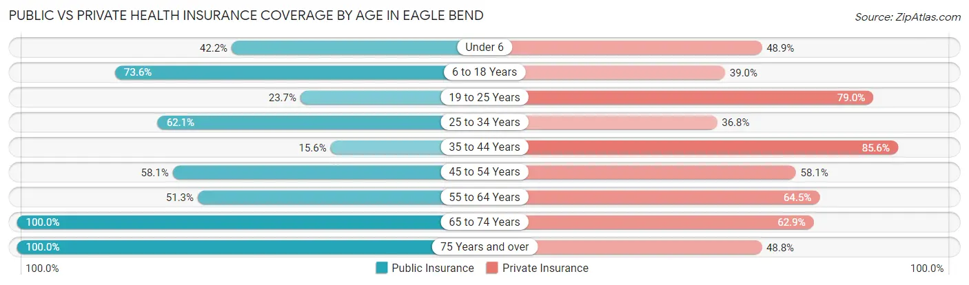 Public vs Private Health Insurance Coverage by Age in Eagle Bend