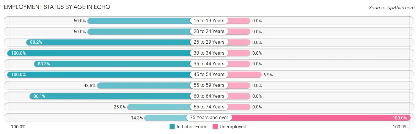 Employment Status by Age in Echo