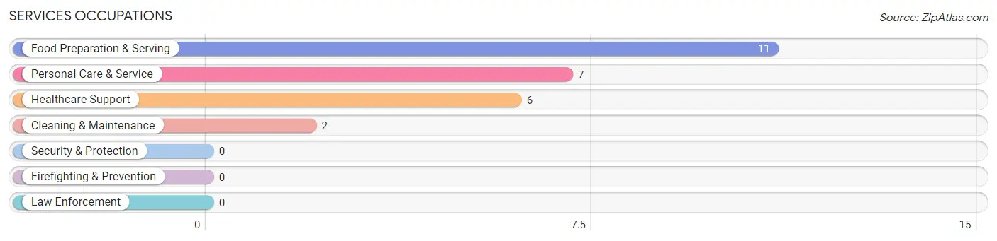 Services Occupations in Echo