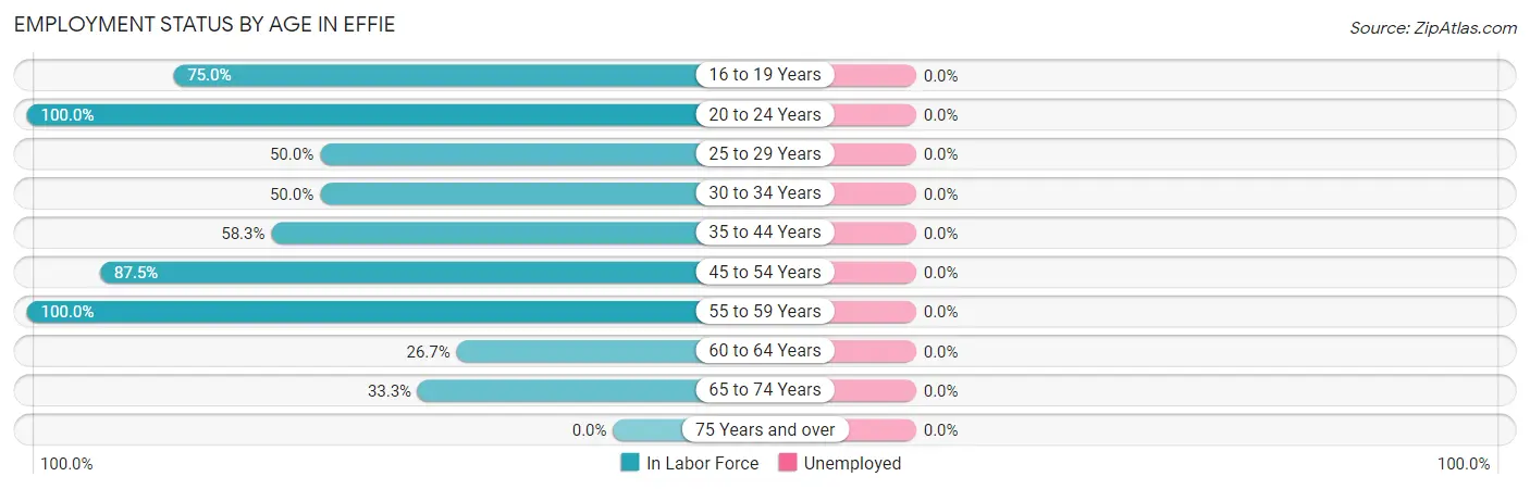 Employment Status by Age in Effie