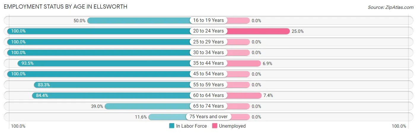 Employment Status by Age in Ellsworth