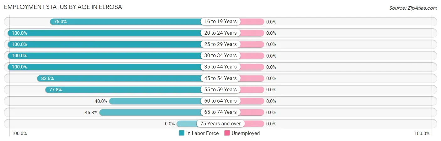 Employment Status by Age in Elrosa