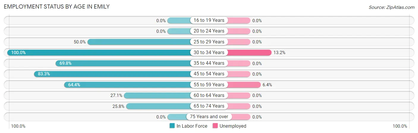Employment Status by Age in Emily
