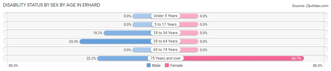 Disability Status by Sex by Age in Erhard