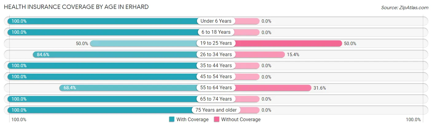 Health Insurance Coverage by Age in Erhard