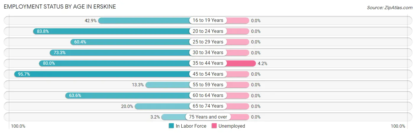 Employment Status by Age in Erskine